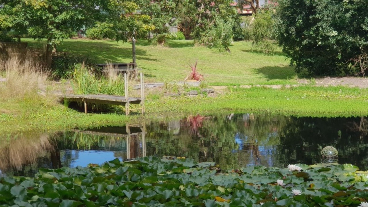 Photo of Outdoor in Foster