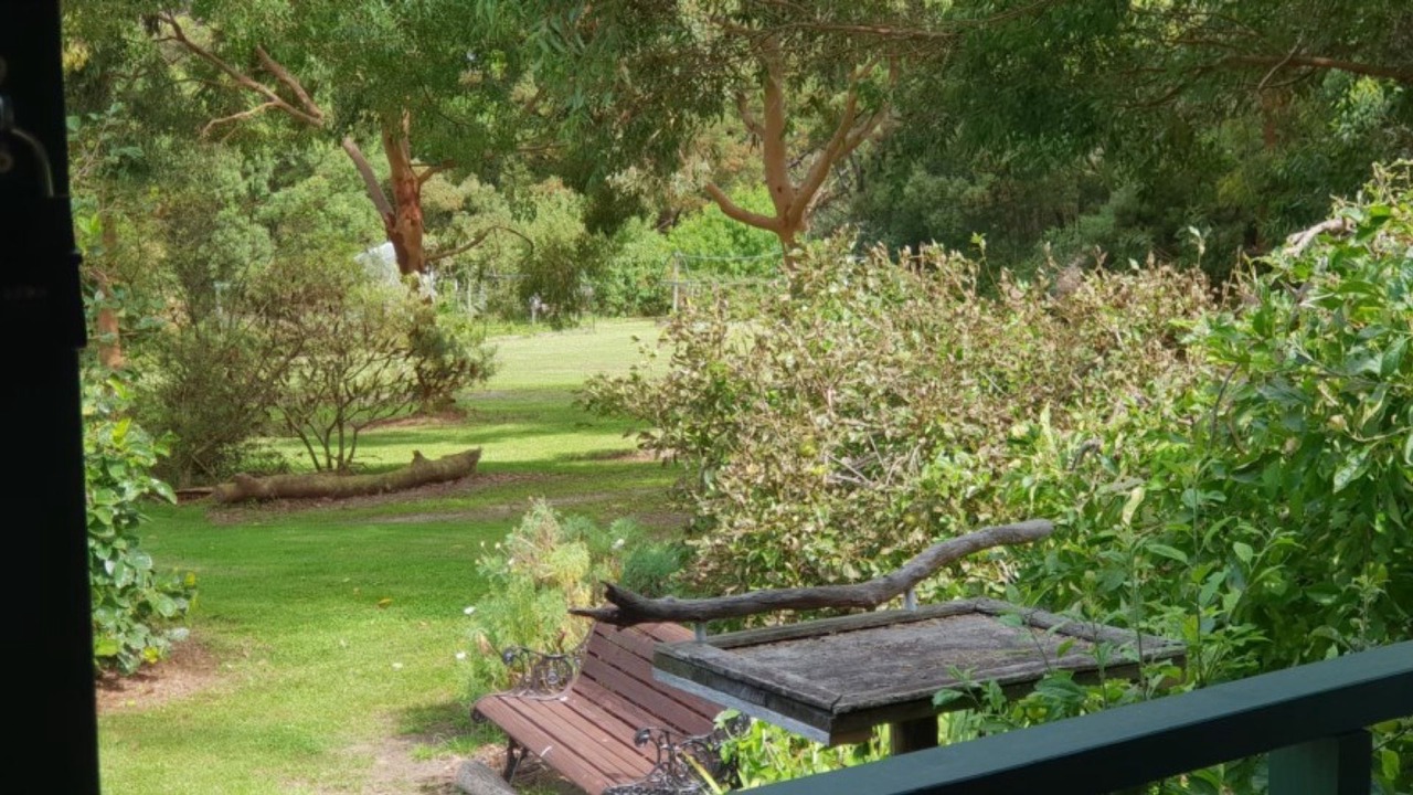 Photo of Outdoor in Foster