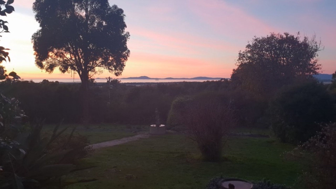 Photo of Outdoor in Foster