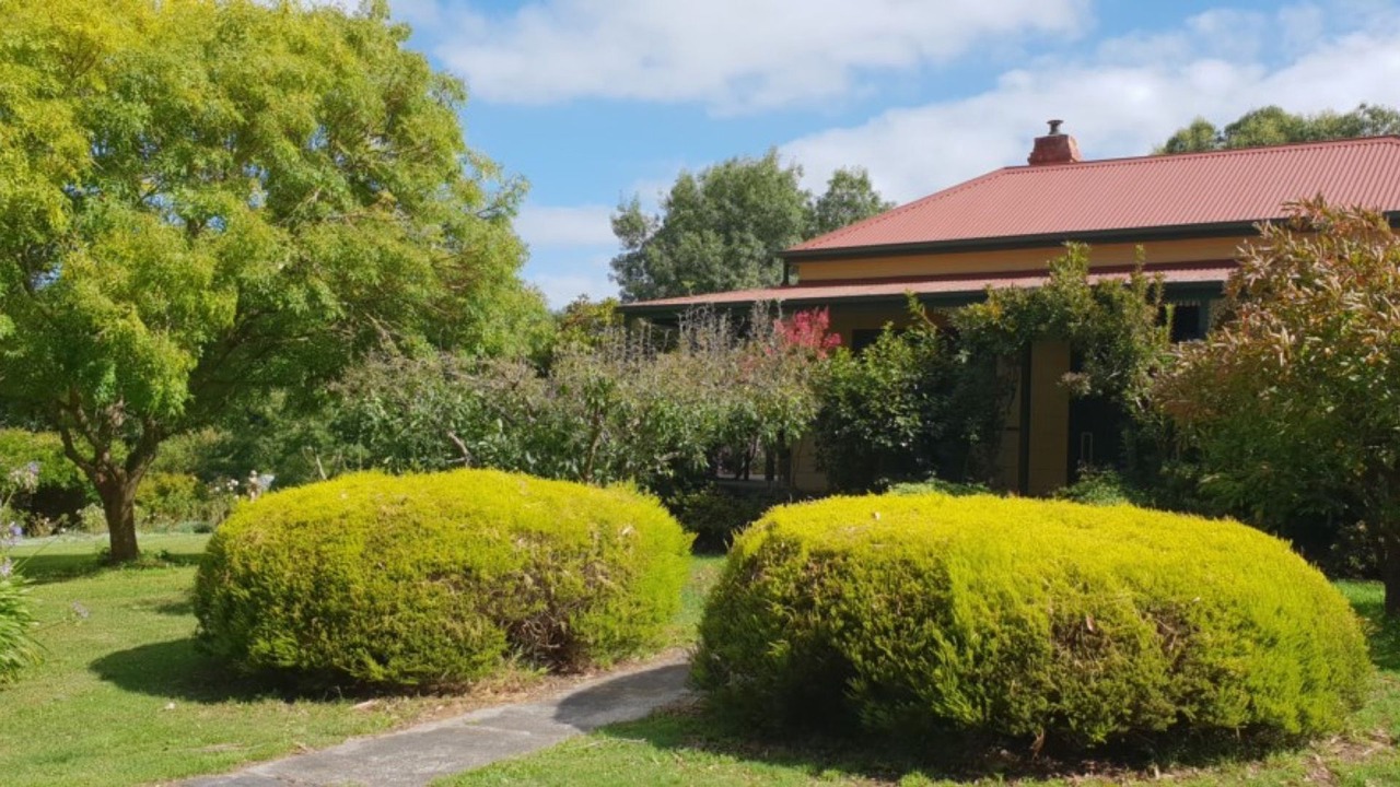 Photo of Outdoor in Foster