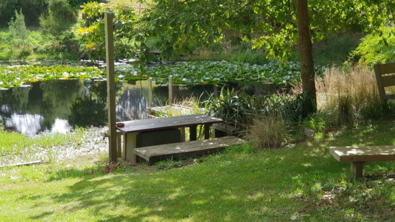 Photo of Outdoor in Foster