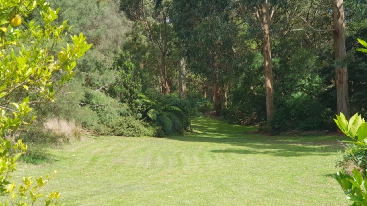 Photo of Outdoor in Foster