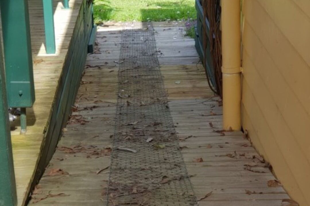 Photo of Outdoor in Foster