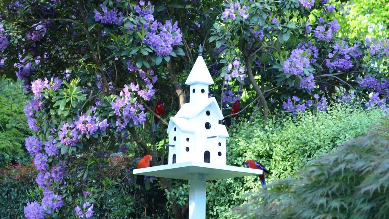 Photo of Others in Mount Dandenong