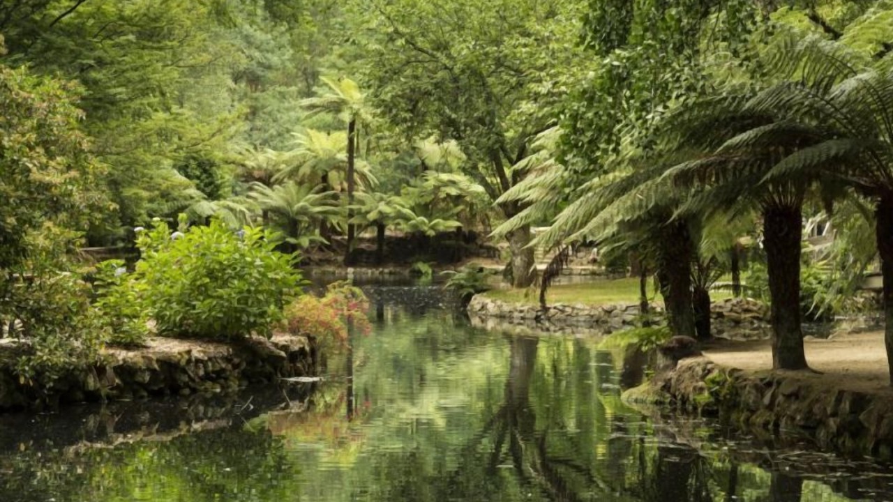 Photo of Others in Mount Dandenong