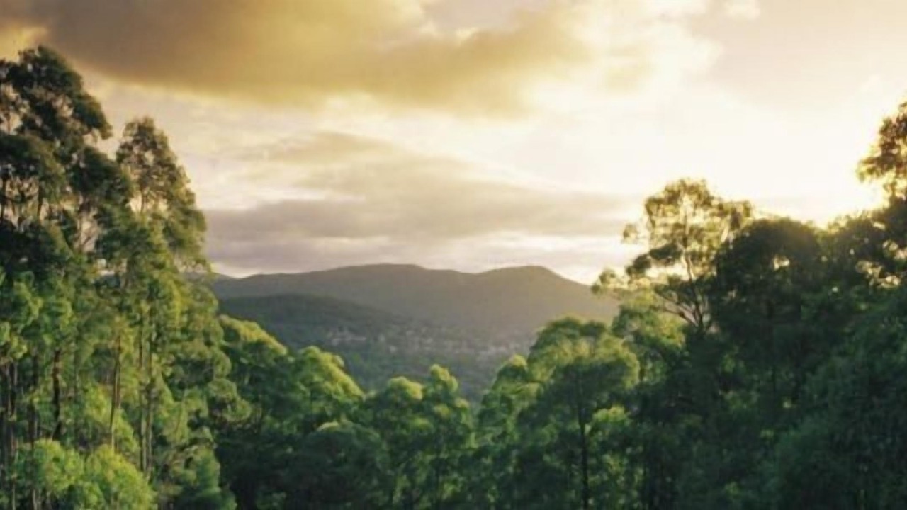 Photo of Others in Mount Dandenong