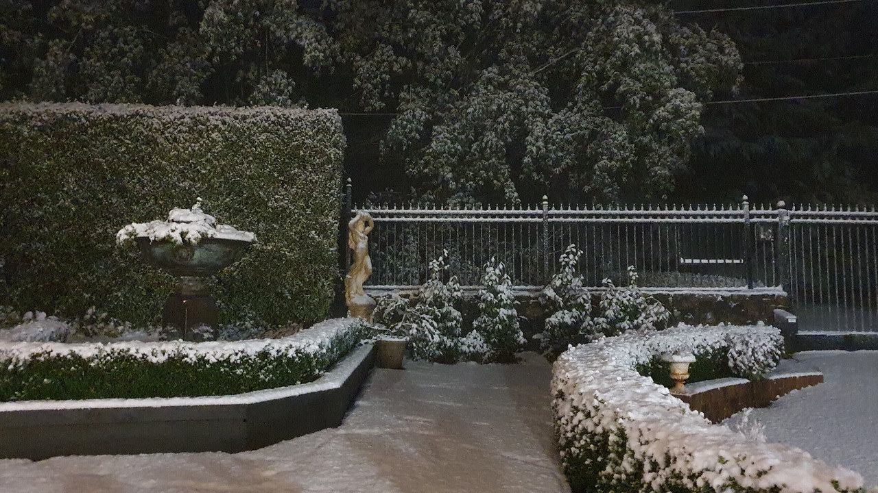 Photo of Others in Mount Dandenong