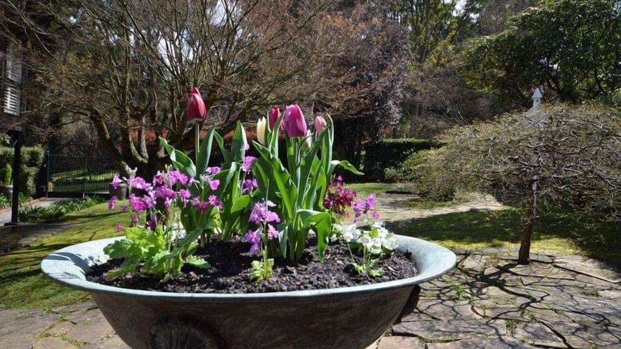 Photo of Outdoor in Mount Dandenong