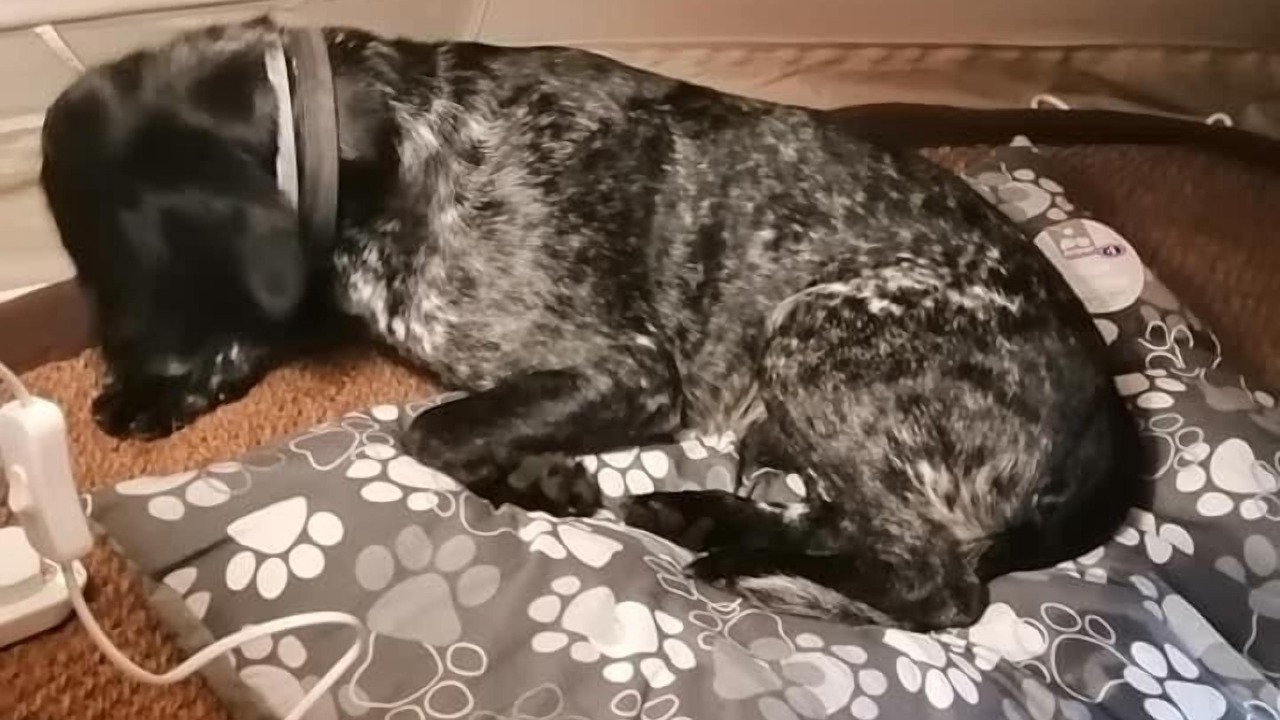 Photo of Others in Great Witley