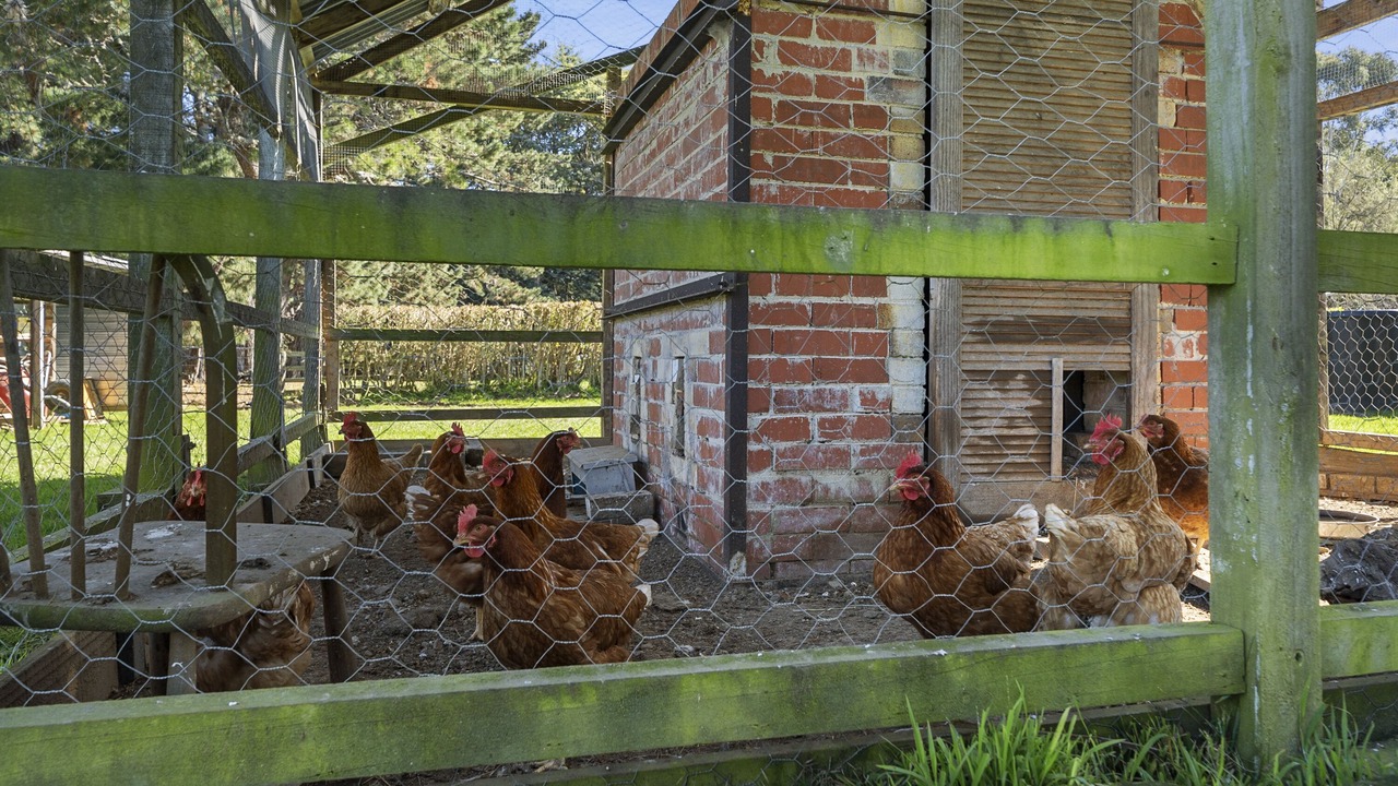Photo of Outdoor in Te Horo