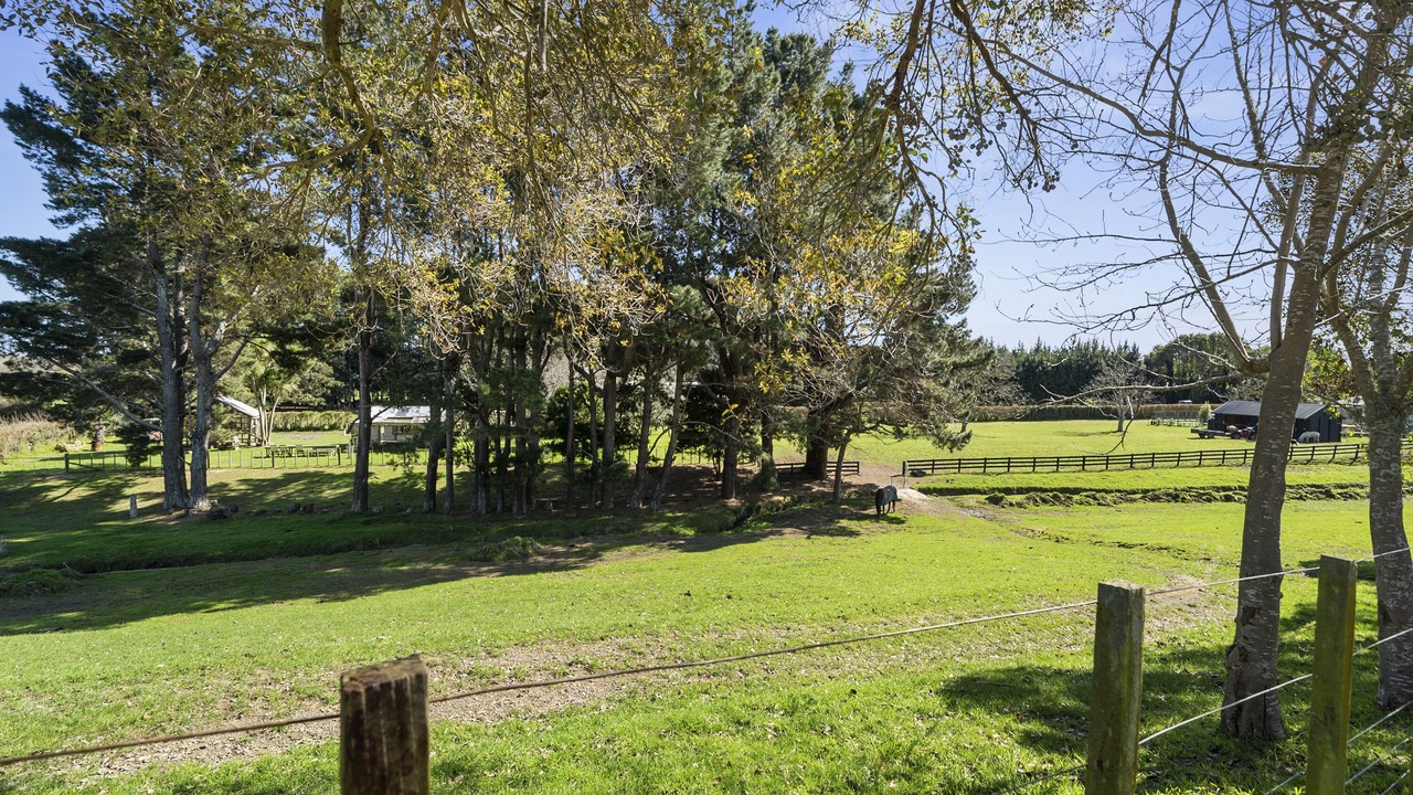 Photo of Outdoor in Te Horo