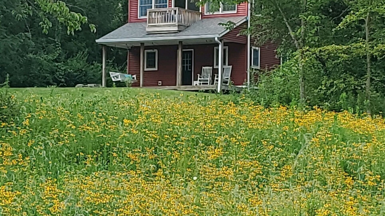 Photo of Outdoor in New Castle