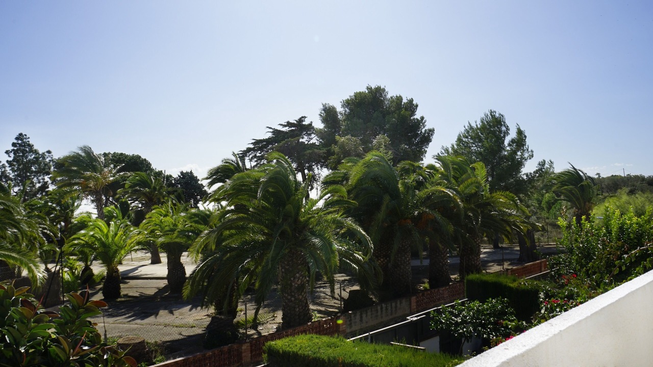 Photo of Outdoor in El Paraiso