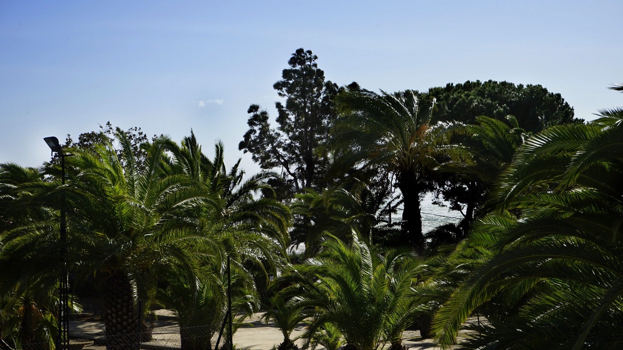 Photo of Outdoor in El Paraiso