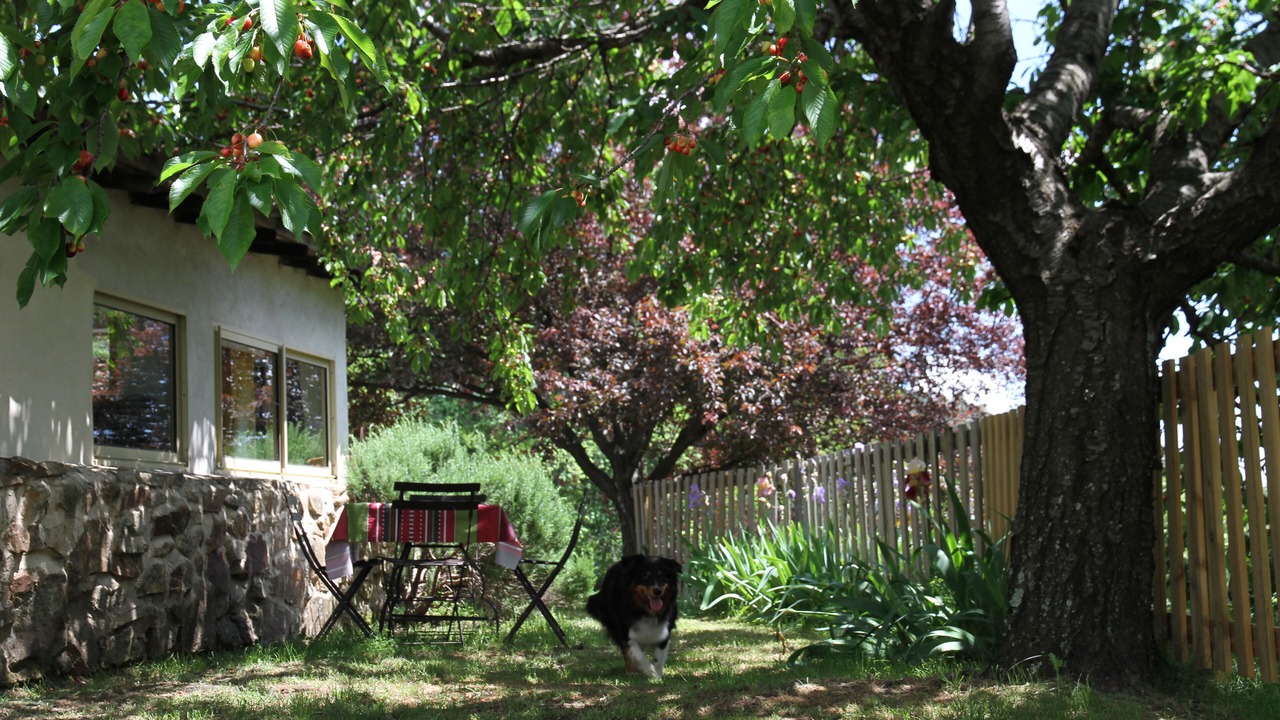 Photo of Outdoor in Asperjoc