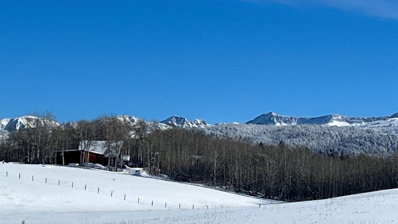 Photo of Others in Clawson