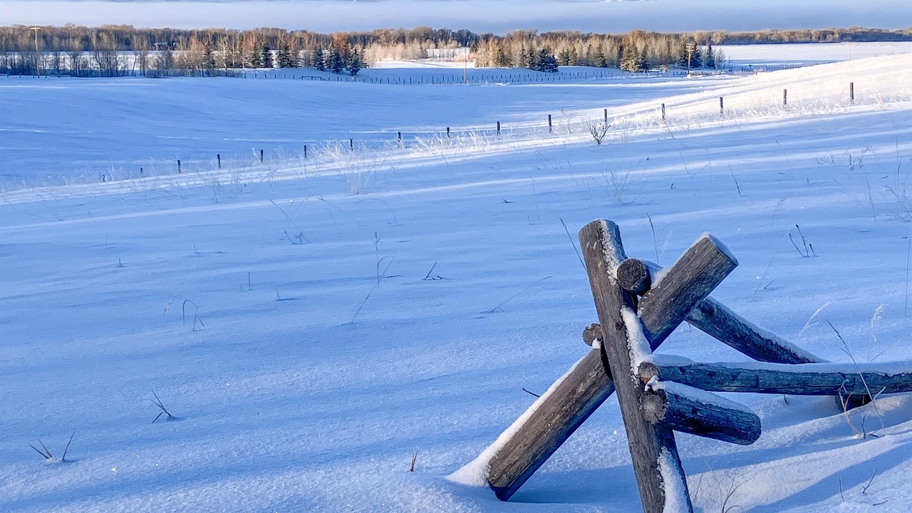 Photo of Others in Clawson
