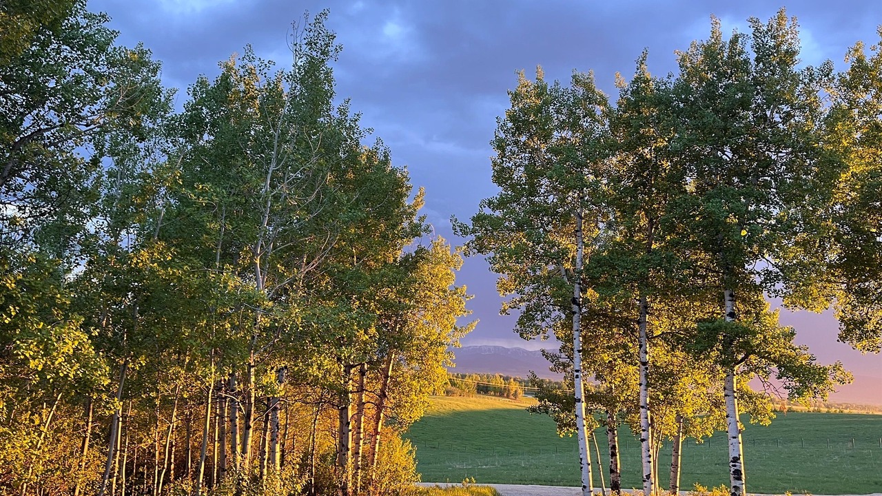 Photo of Outdoor in Clawson