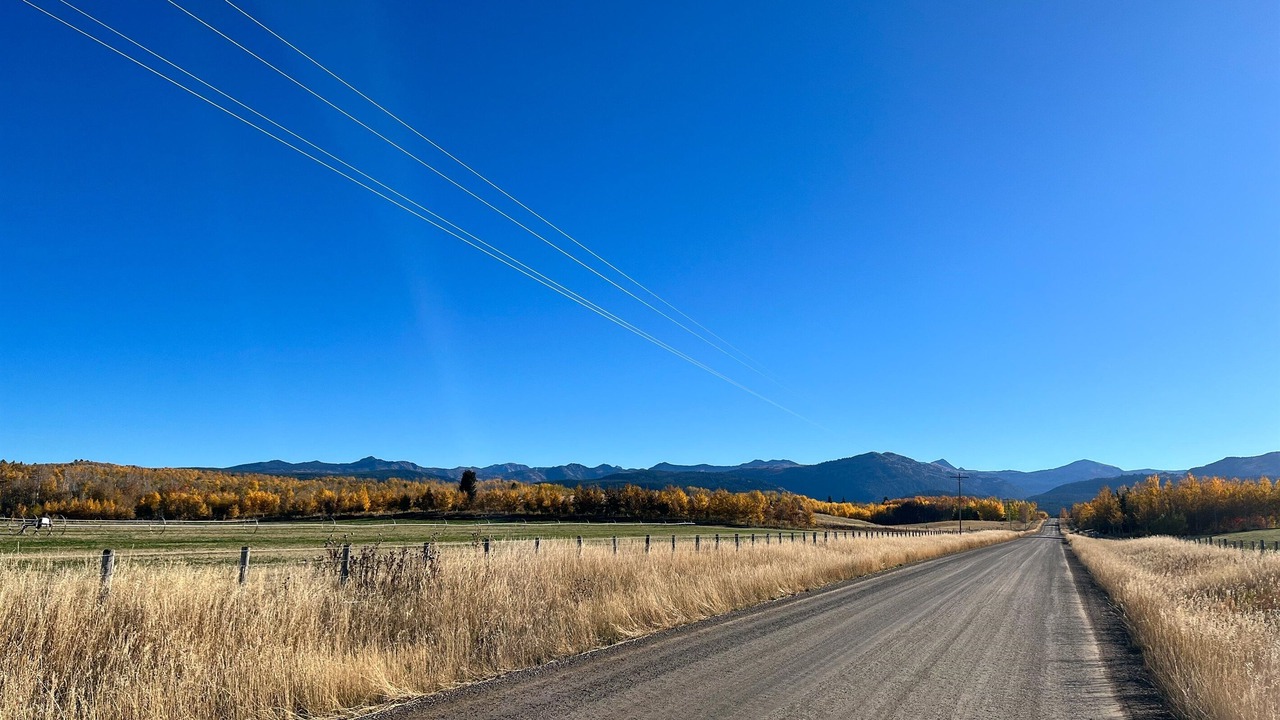 Photo of Others in Clawson