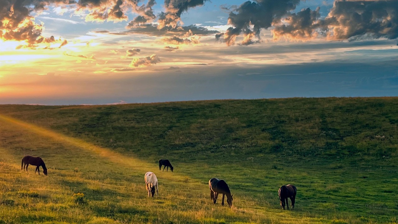 Photo of Others in Clawson