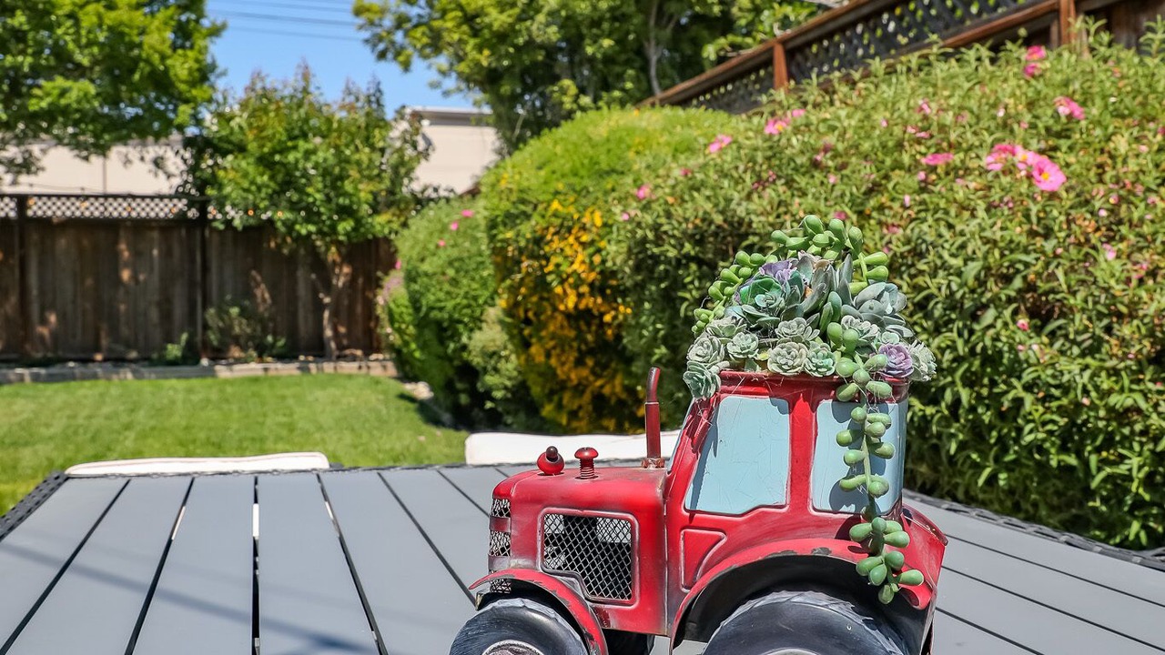 Photo of Outdoor in Watsonville