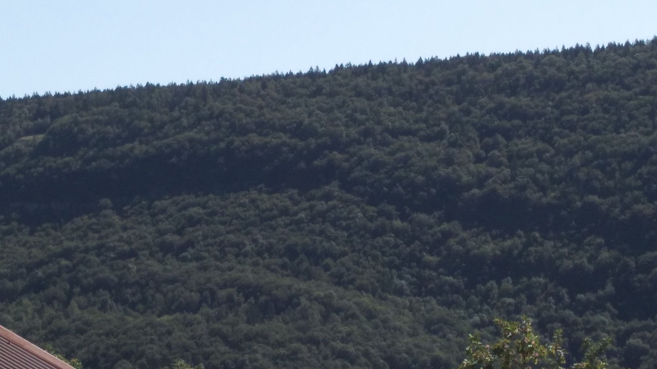 Photo of Others in Saint-Claude