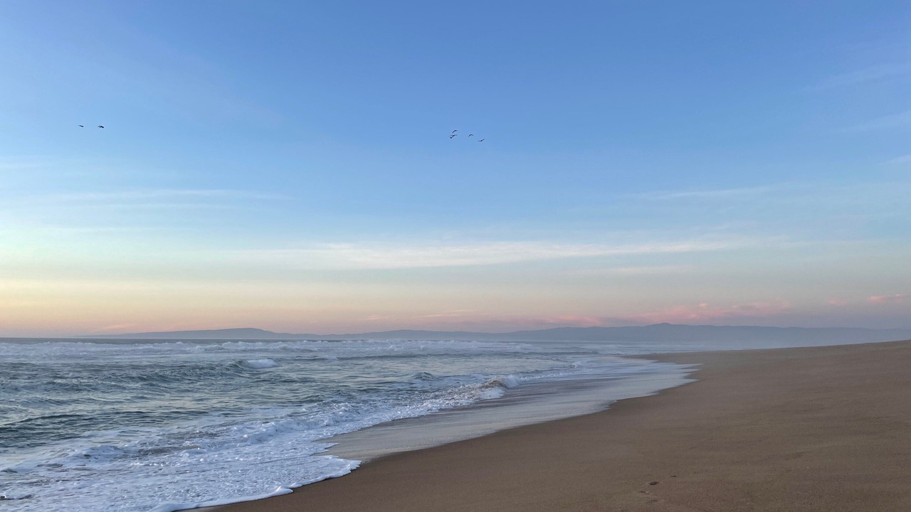 Photo of Others in Castroville