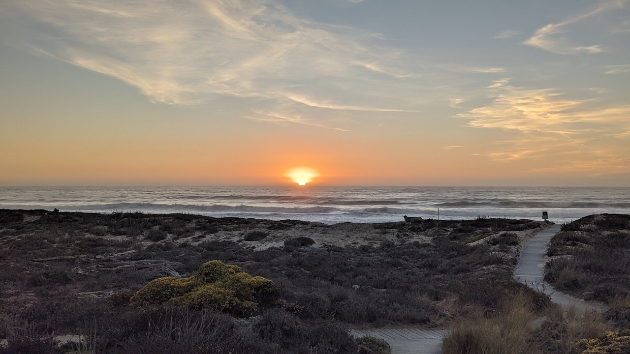 Photo of Others in Castroville