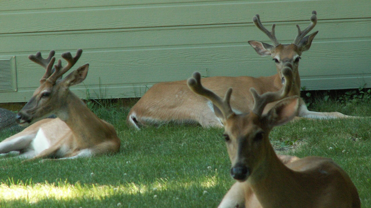 Photo of Others in Milton-Freewater