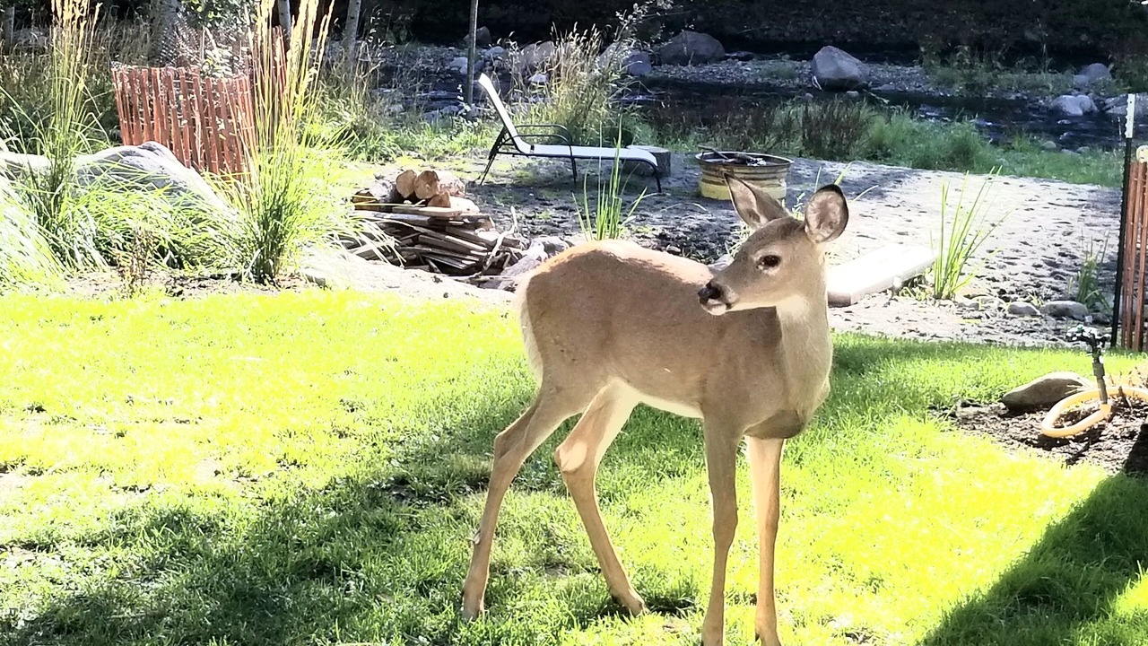 Photo of Outdoor in Milton-Freewater