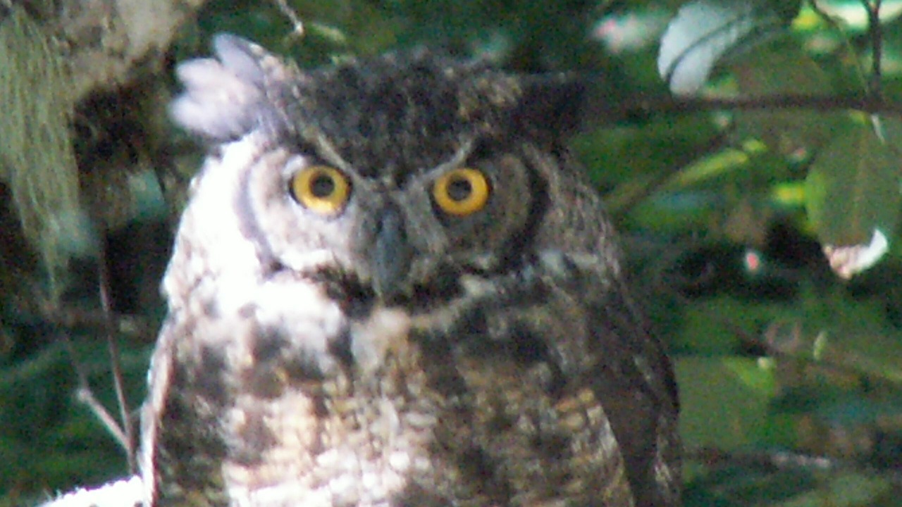 Photo of Others in Milton-Freewater