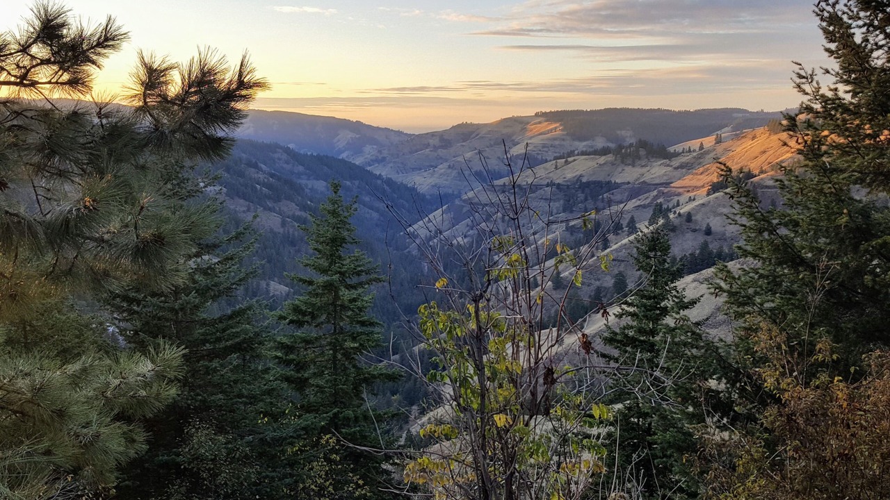 Photo of Others in Milton-Freewater