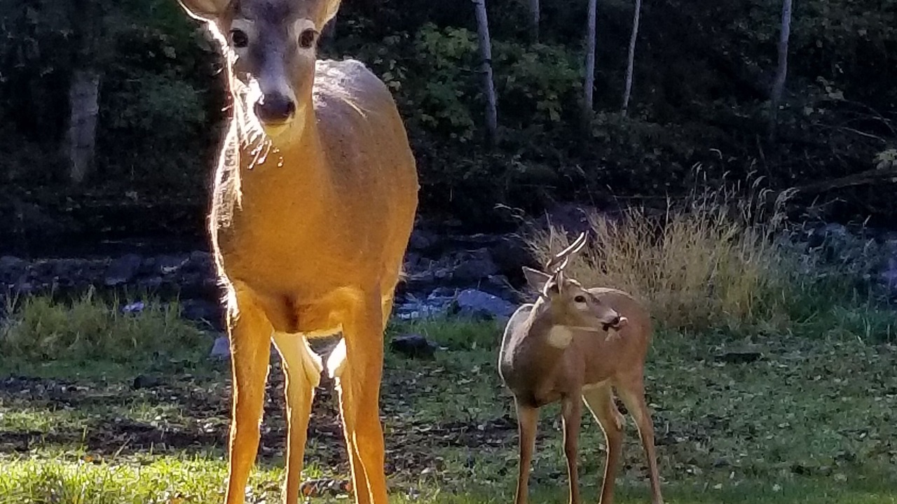 Photo of Others in Milton-Freewater