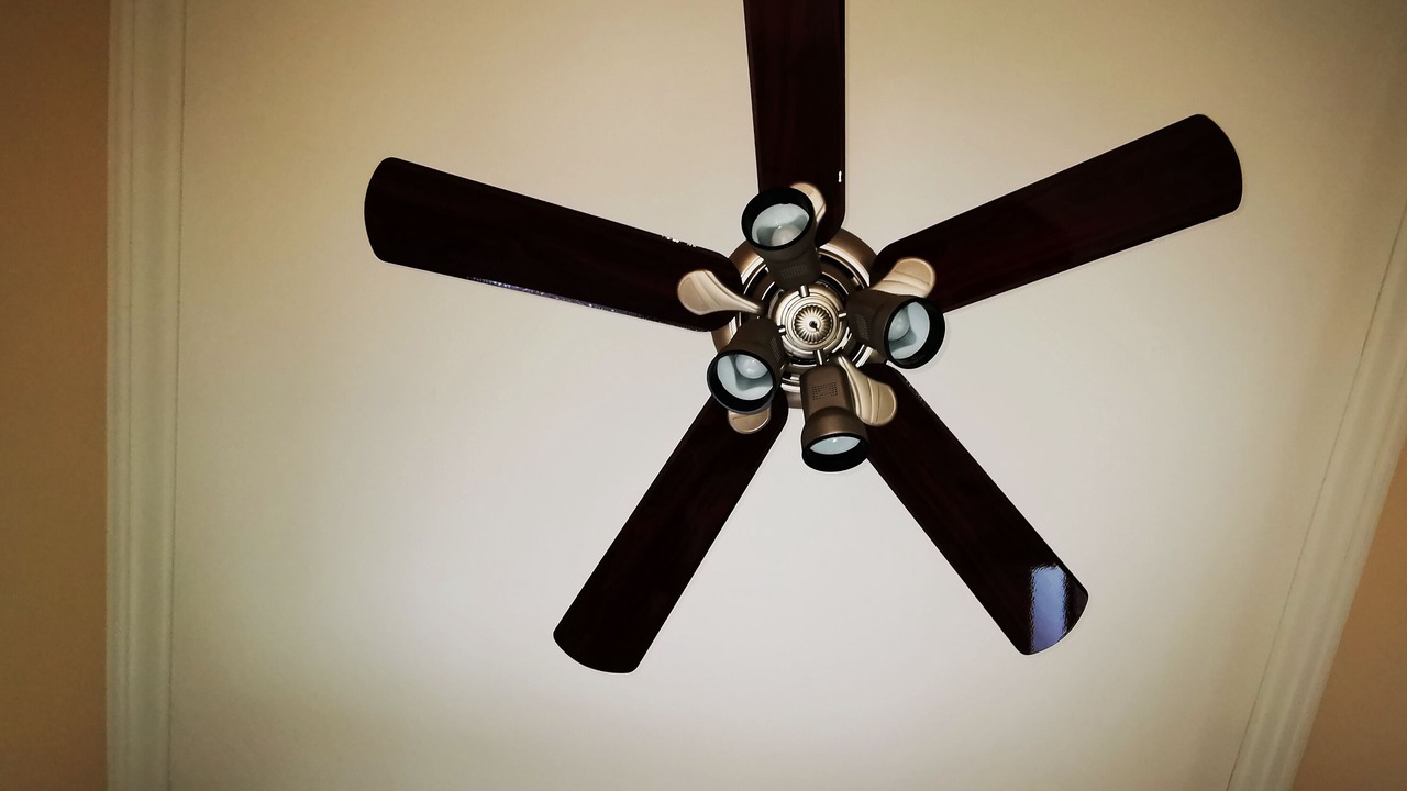 Photo of Others in Issaquah