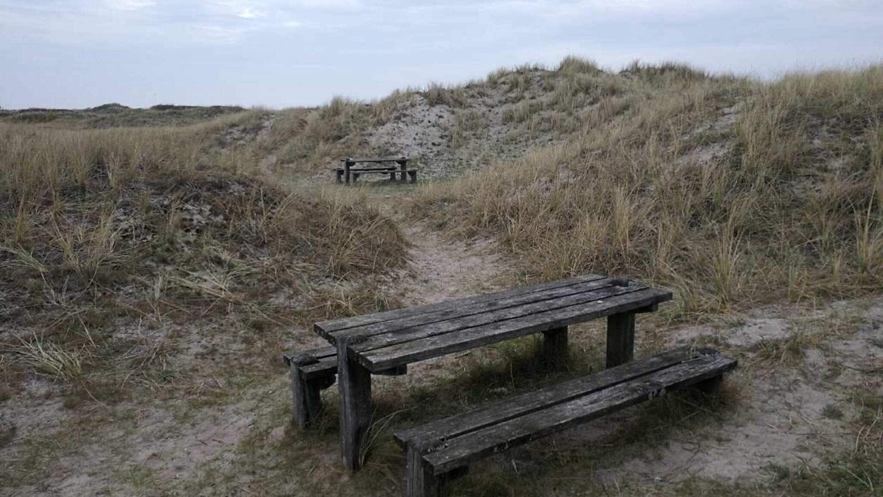 Photo of Outdoor in Læsø