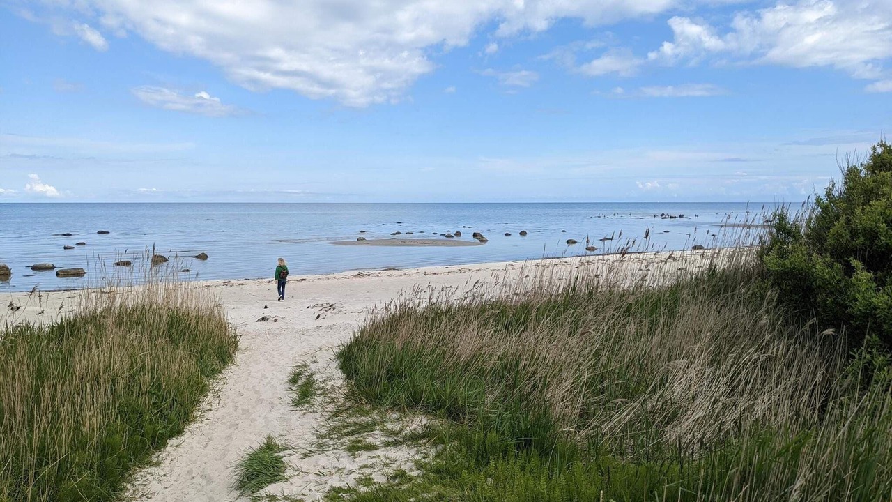 Photo of Others in Læsø