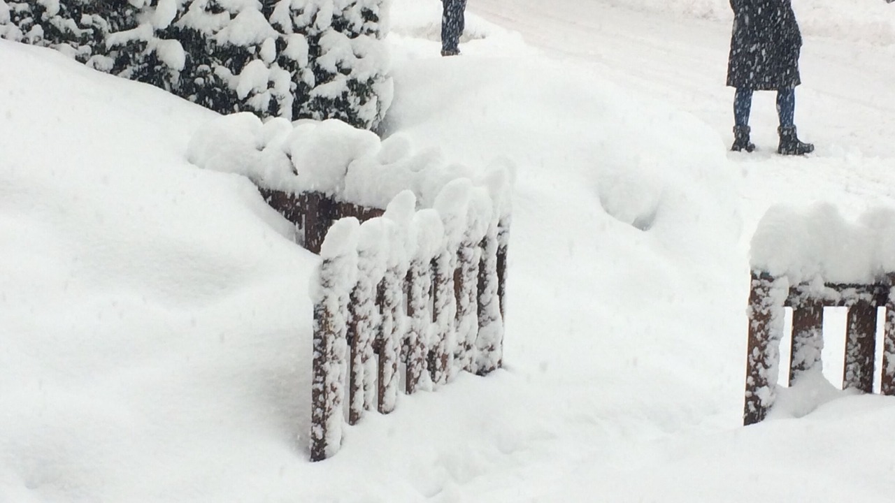 Photo of Outdoor in Cauterets