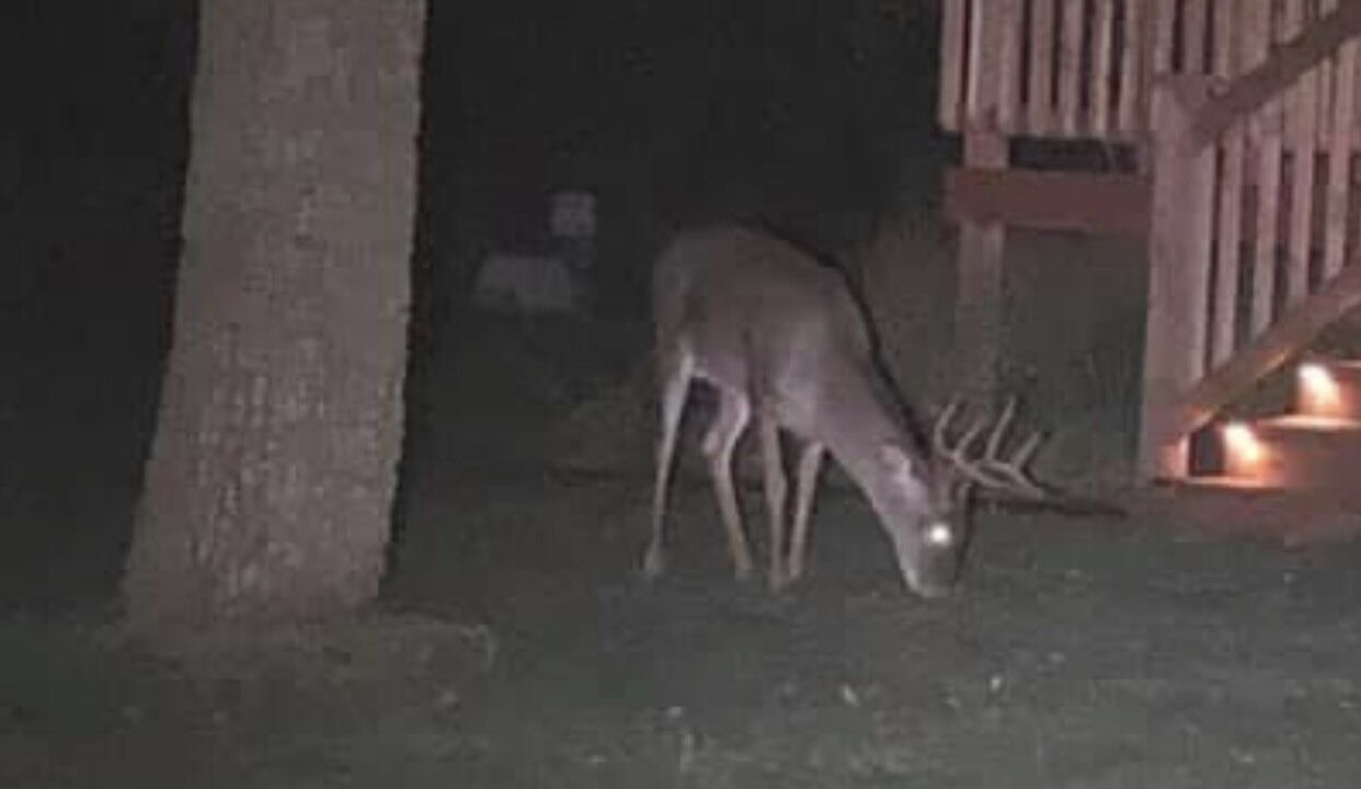 Photo of Outdoor in Austin