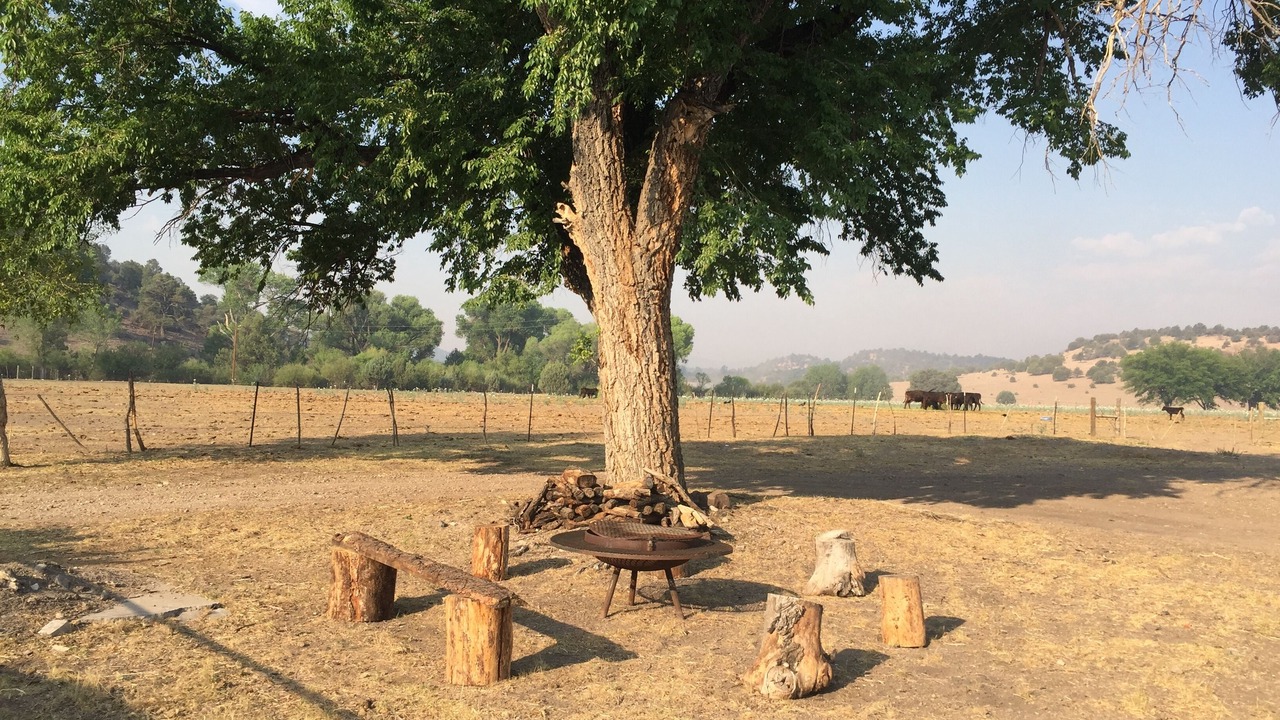 Photo of Outdoor in Mule Creek