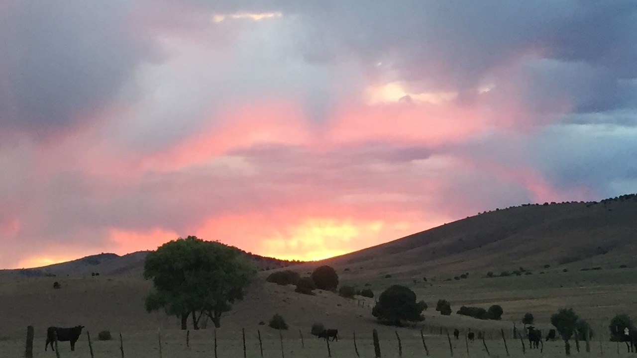 Photo of Outdoor in Mule Creek