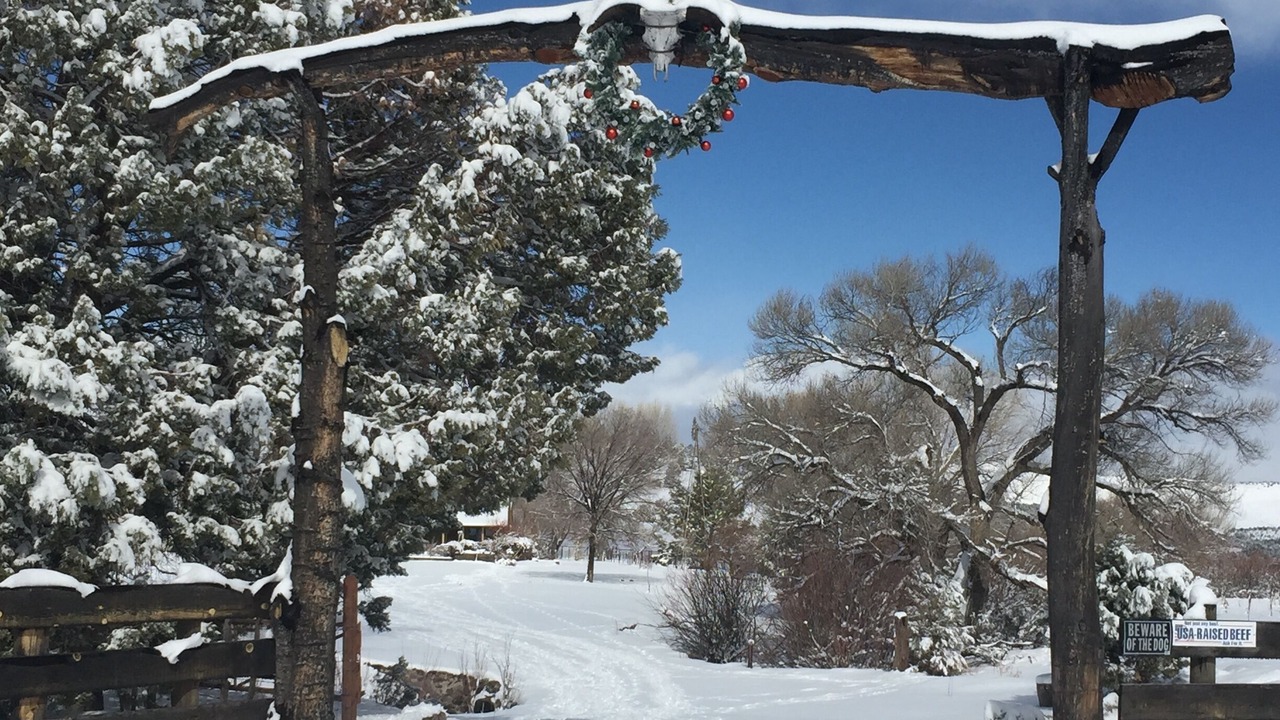 Photo of Others in Mule Creek