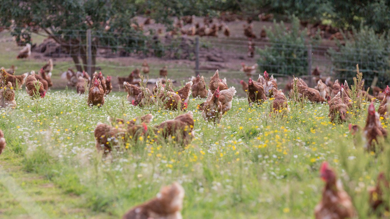 Photo of Outdoor in Monmouth