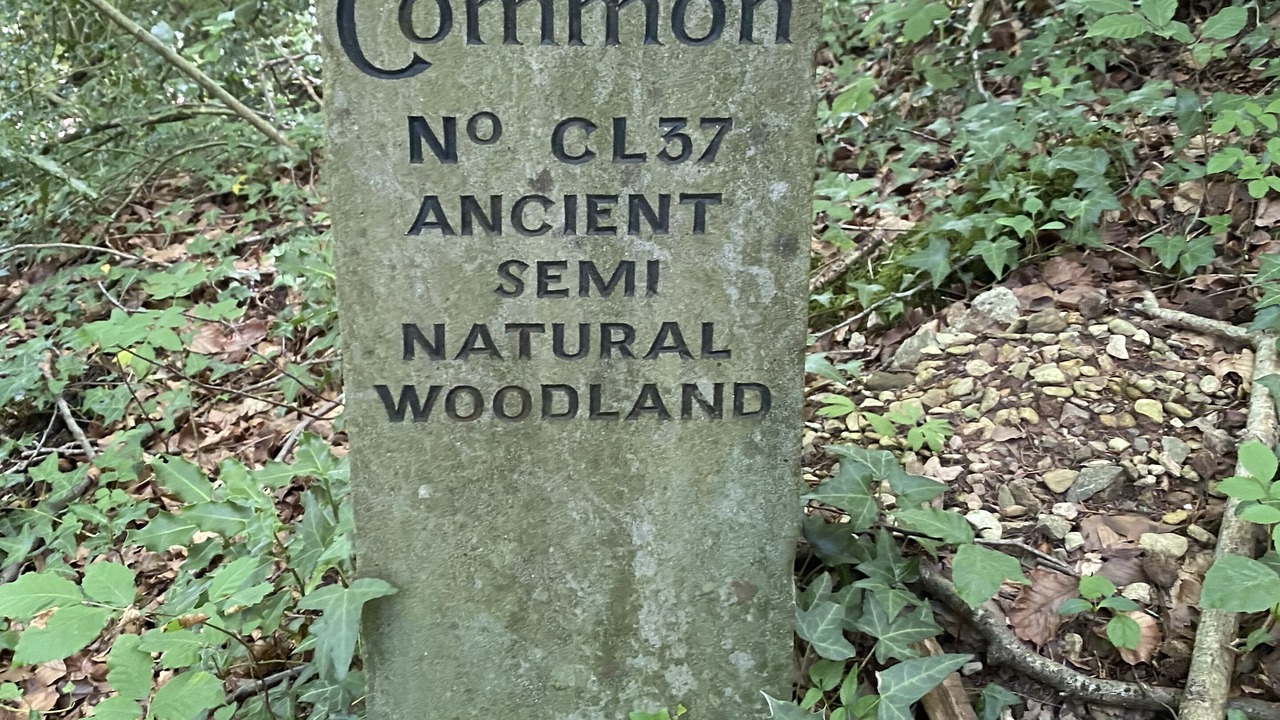 Photo of Outdoor in Monmouth