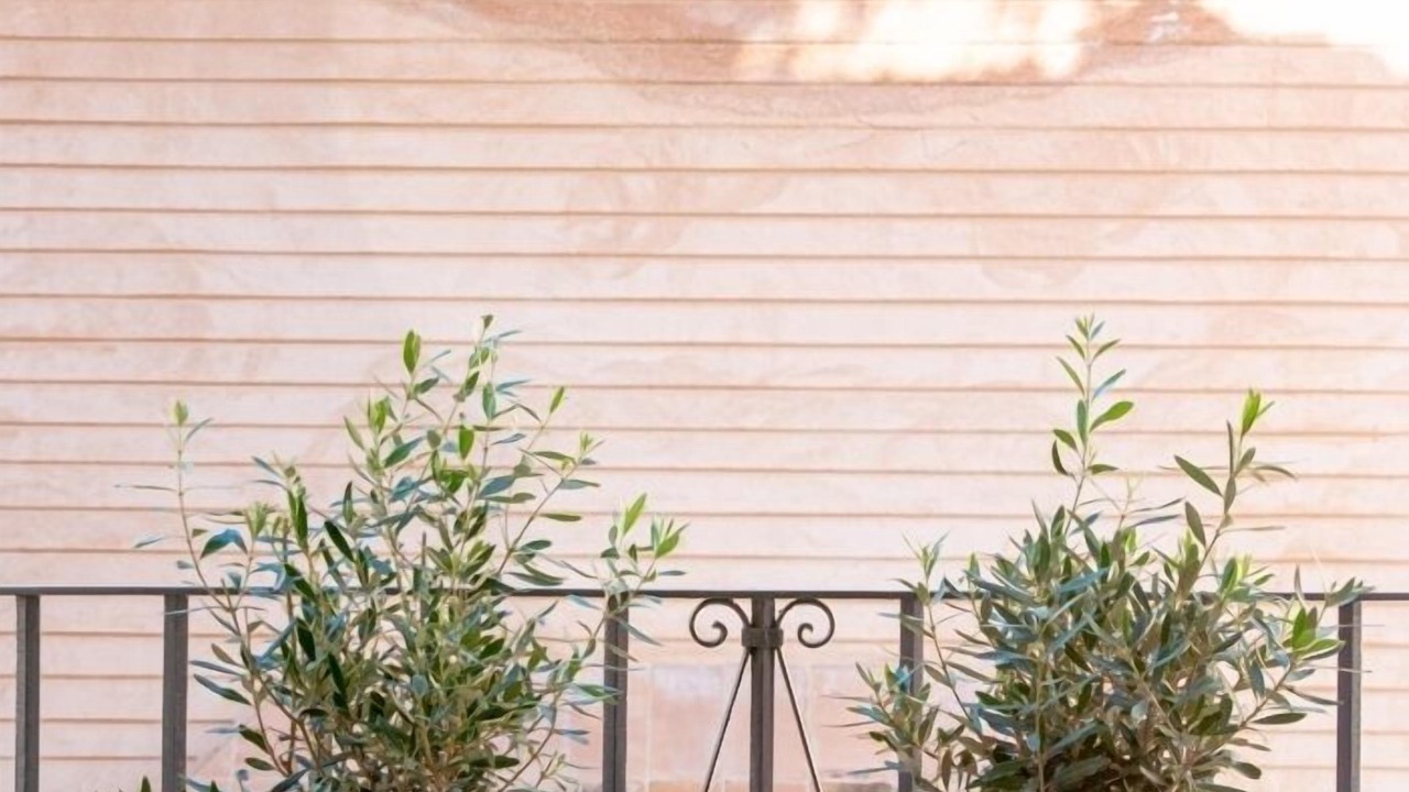 Photo of Outdoor in Encarnacion-Regina
