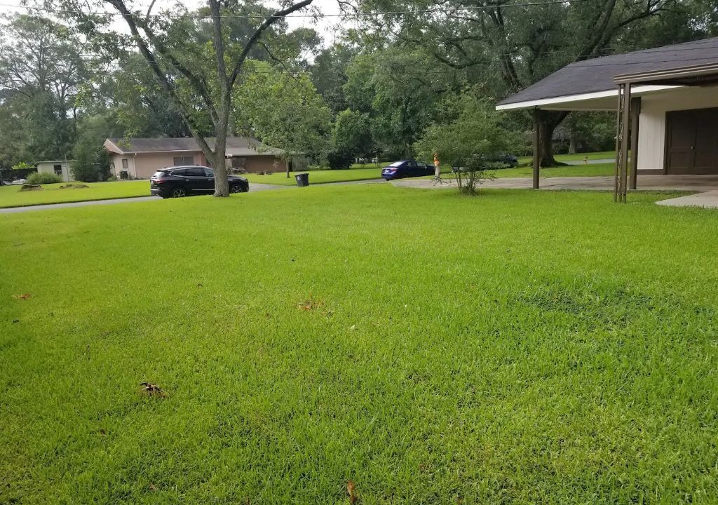 Photo of Outdoor in Broadmoor