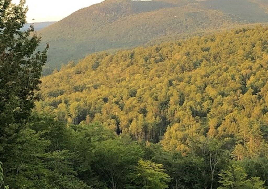 Photo of Others in Thornton