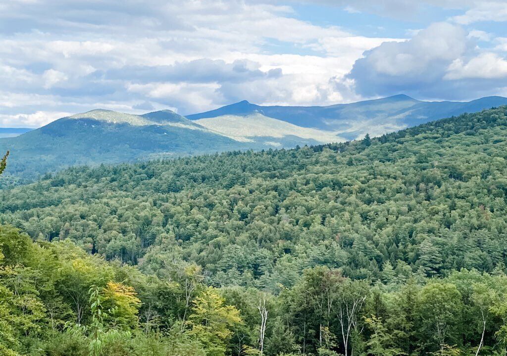 Photo of Others in Thornton