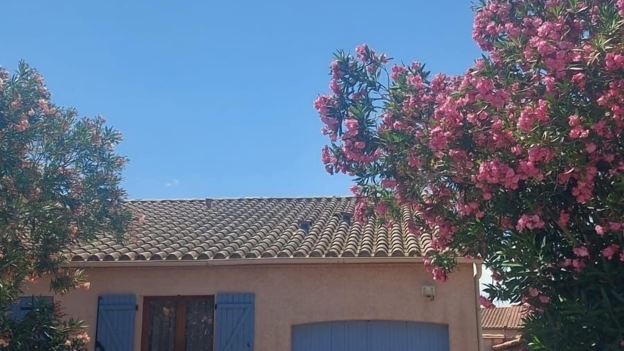 Photo of Outdoor in Saint-Andre