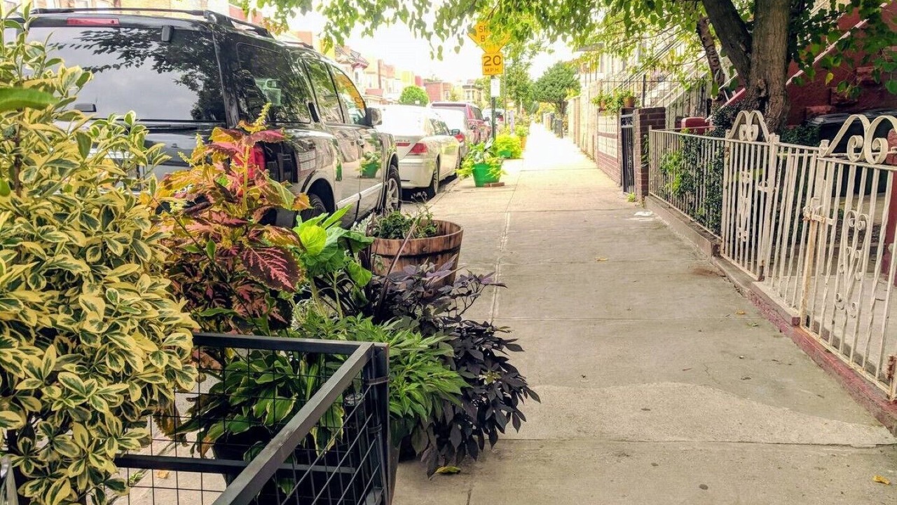 Photo of Outdoor in Flatbush