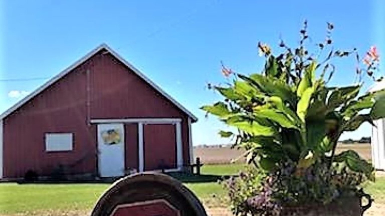 Photo of Outdoor in Fayette County